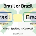 brasil or brazil