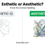 Esthetic or Aesthetic