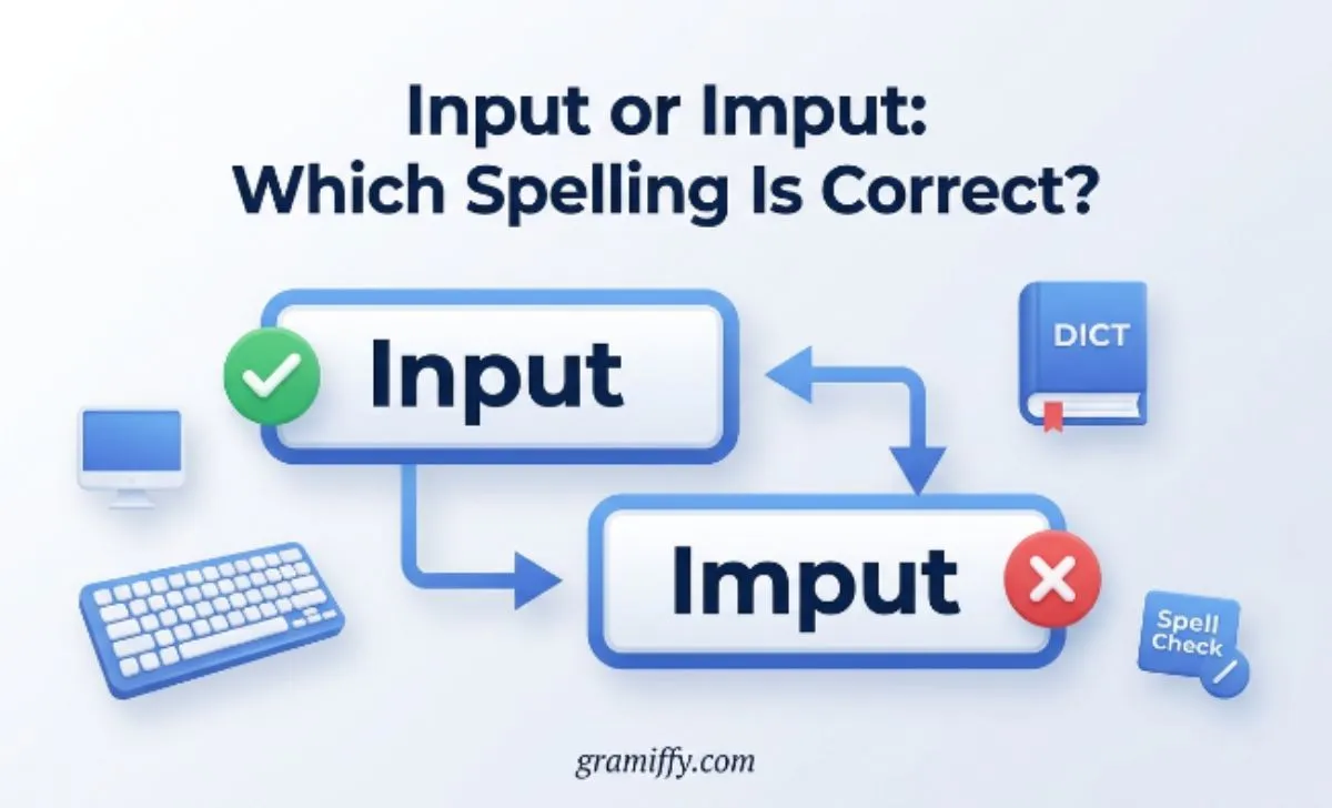 input or imput