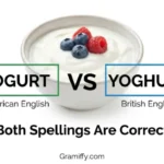 yogurt or yoghurt
