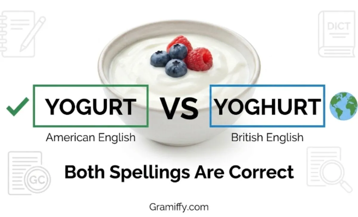yogurt or yoghurt