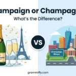 champaign or champagne