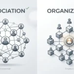 association vs organization