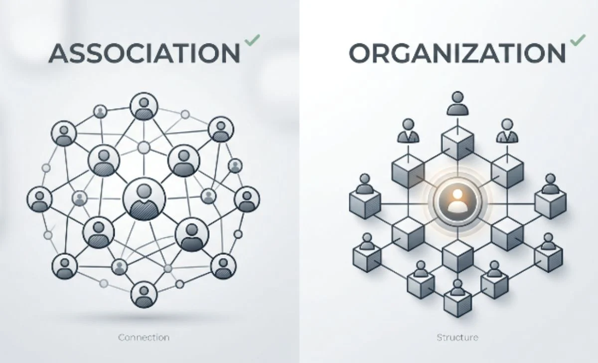 association vs organization