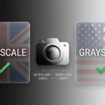 greyscale or grayscale