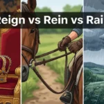 reign vs rein vs rain