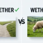 wether or whether