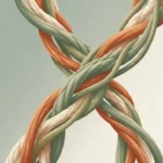 entwined vs intertwined