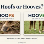 hoofs or hooves